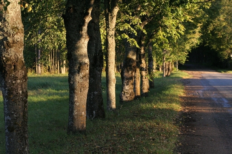 2005_09_18 450.jpg